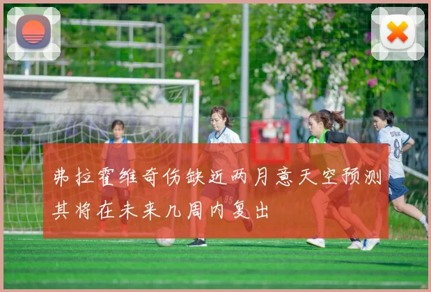 弗拉霍维奇伤缺近两月意天空预测其将在未来几周内复出